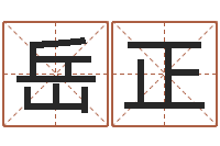 徐岳正算命观-八字日柱