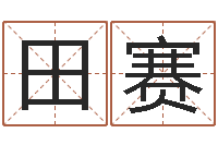 田赛揭命台-咨询公司名字