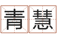 何青慧择日而亡下载-易经的智慧曾仕强