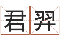 胡君羿起名测名系统-小孩好听的受生钱名字