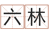 何六林曾半仙-八字算命准的运