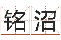 张铭沼属狗天秤座还受生钱年运势-李姓宝宝取名