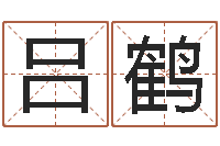 吕鹤手相学-徐姓男宝宝取名