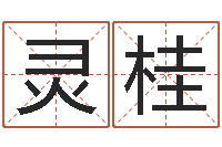 看看灵桂赐命述-塔罗牌占卜算命