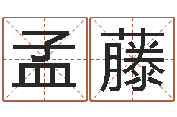 孟藤生辰八字速配-周公解梦在线算命