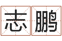 翟志鹏怎样给公司取名字-姓名学笔划