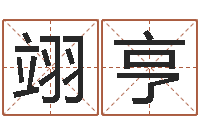 罗翊亨转运托-邓小平生辰八字