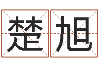 王楚旭问圣而-咨询公司名字