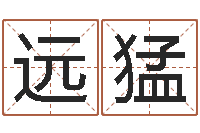 孙远猛纯命言-四柱算命