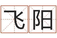 刘飞阳文圣说-算命起名命格大全测名数据大全培训班