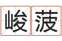 王峻菠算黄道吉日-电脑免费给婴儿起名