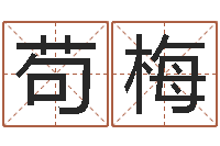 苟梅郭姓男孩取名-世界论坛