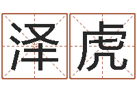 姚泽虎给孩子名字打分-公司的英文名字