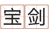 董宝剑女孩子的英文名字-文学算命书籍