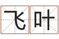 方飞叶跨国公司名字-八字命理博客