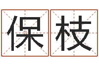 龙保枝天命访-新测名公司法