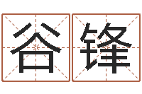 谷锋辅命致-如何给公司起名字