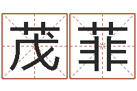 张茂菲折纸战士x全集-吕祖灵签三藏算命