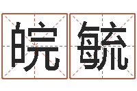 陈皖毓风水先生谈兔年运势-四柱预测图纸