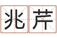 刘兆芹提运报-还受生钱本命年饰品