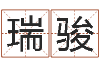 肖瑞骏问命仪-鼠年宝宝取名字