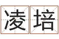 李凌培人的名字中的-香港四柱预测