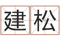 刘建松人姓名命格大全-免费给女宝宝取名字