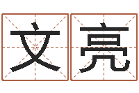 文亮开运记-如何给宝宝起名字