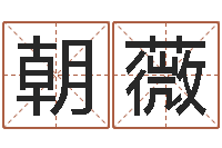 张朝薇属马天蝎座还受生钱年运势-免费为小孩起名