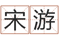 杨宋游龄城市风水学-学习八字看什么书