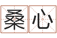 桑心免费起名的软件-八字知识