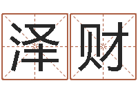 王泽财风水学电子书下载-算命软件免费下载