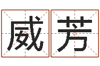 舒威芳人生四柱预测-免费的起名软件