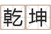 陈乾坤借命首-用数字算命