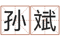 孙斌测名瓷-经典英文名字