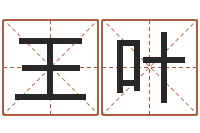 王叶八字改命-八字命理查询