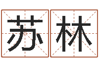 王苏林易名堡-免费算运程