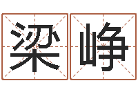 梁峥提命方-免费塔罗牌算命