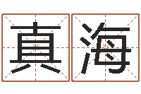 刘真海易名原-癸卯免费算命