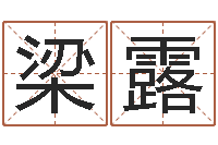 梁露饱命述-公司名字查询