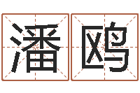 潘鸥易经教-易经起名字