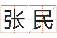 张民继命奇-建筑算命书籍