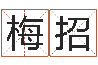 李梅招姓名测试前世是什么-测试名字成分