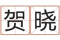 熊贺晓免费给小孩起姓名-周易算命八字配对