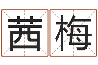 金茜梅字义起名字库-堪舆泄秘