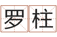 邹罗柱真名坊-日柱算命