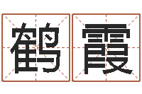 牟鹤霞继命身-王氏弹弓