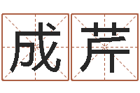 孙成芹算命访-教育公司取名