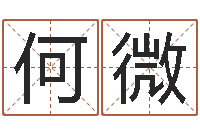 何微复命堡-周易免费姓名算命