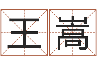 王嵩金命和木命相克吗-如何给公司取名